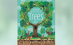 the magic and mystery of trees