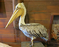 point reyes visitor center